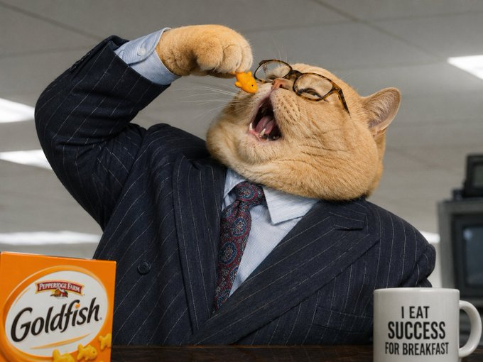 Fat cat in a pinstripe suit and glasses eating a Goldfish cracker at his desk